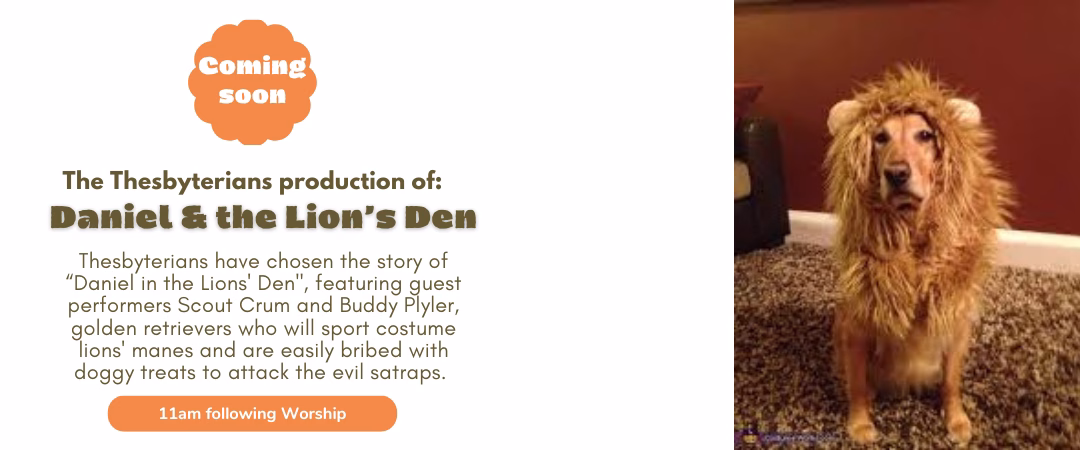 November 6, 2025 – Newsletter